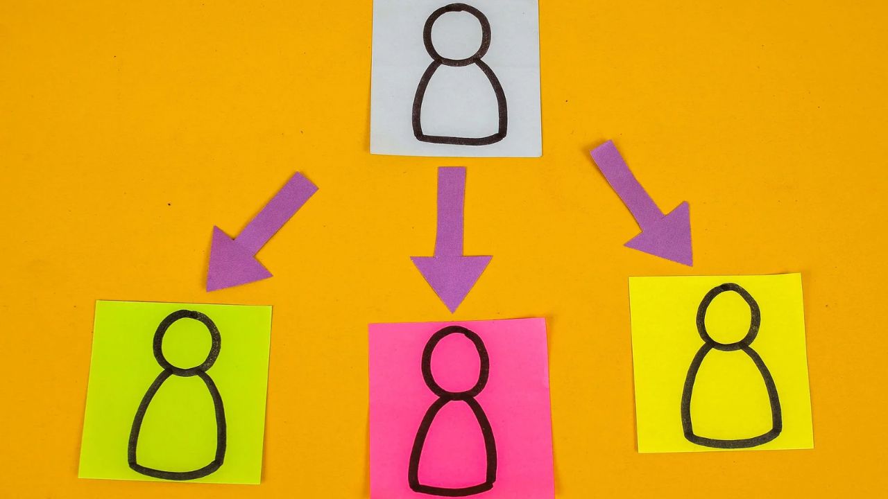 Consultoria Sistêmica Empresarial